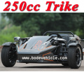 Neuen 250er Trike coolen Sport Dreirad (MC-369)